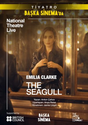 The Seagull